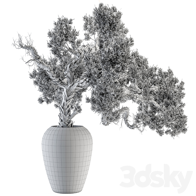 indoor Plant Set 365 – Old Bonsai Plant in pot 3DSMax File - thumbnail 5