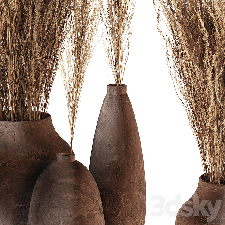 Indoor plants 01 – Pampas set in Pottery Pots 3DS Max Model - thumbnail 2