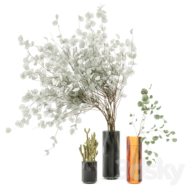 Indoor Plants Cactus & Eucalyptus whit Glass Pots – Set 38 3DSMax File - thumbnail 1