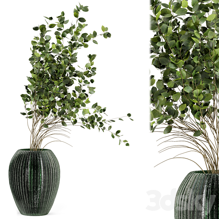Indoor Plants In Handmade Glass Pot – Set 94 3DS Max Model - thumbnail 2
