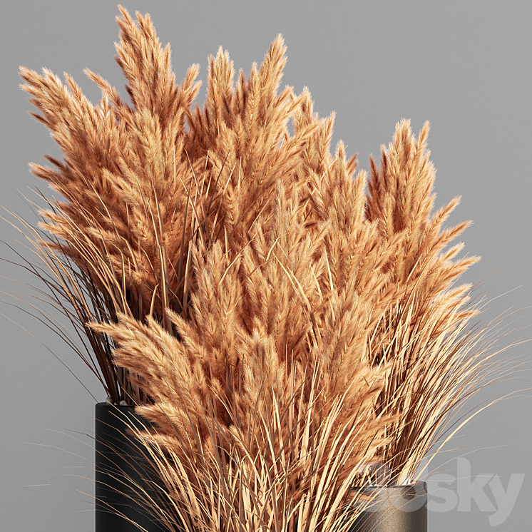 Indoor_Plant_Set_48 (pampas) 3DS Max - thumbnail 2