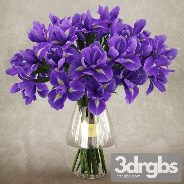 Iris Bouquet 3dsmax Download - thumbnail 1