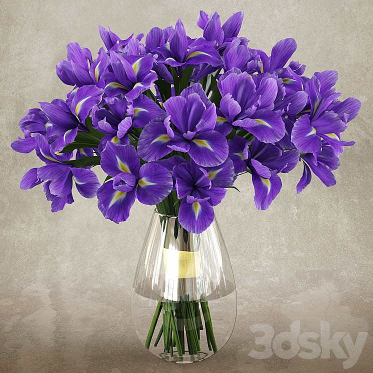 Irises 1 3DS Max - thumbnail 1