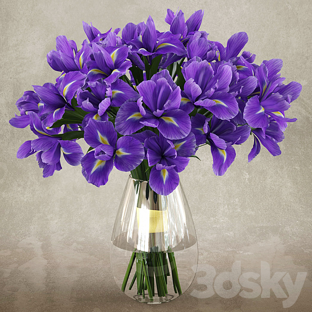 Irises 1 3DSMax File - thumbnail 1