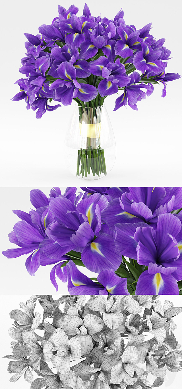 Irises 1 3DSMax File - thumbnail 3