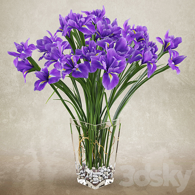 Irises 2 3DSMax File - thumbnail 1