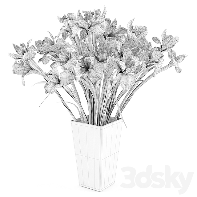 Irises 2 3DSMax File - thumbnail 2