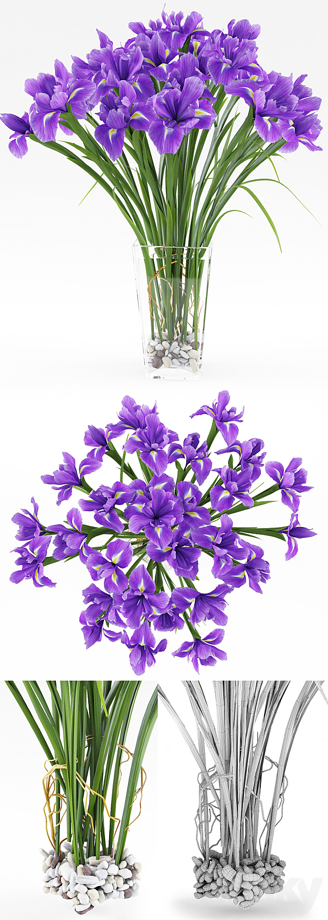 Irises 2 3DSMax File - thumbnail 3