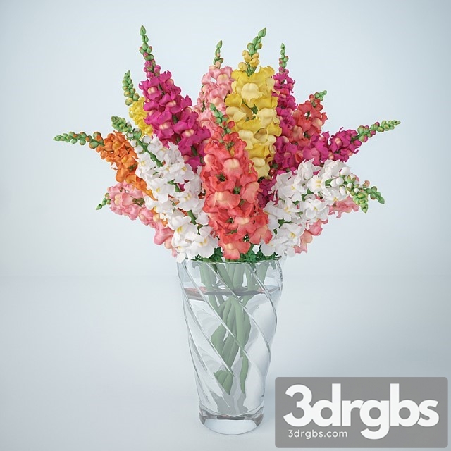 L Vinyi Ziev Antirrinum 3dsmax Download - thumbnail 1