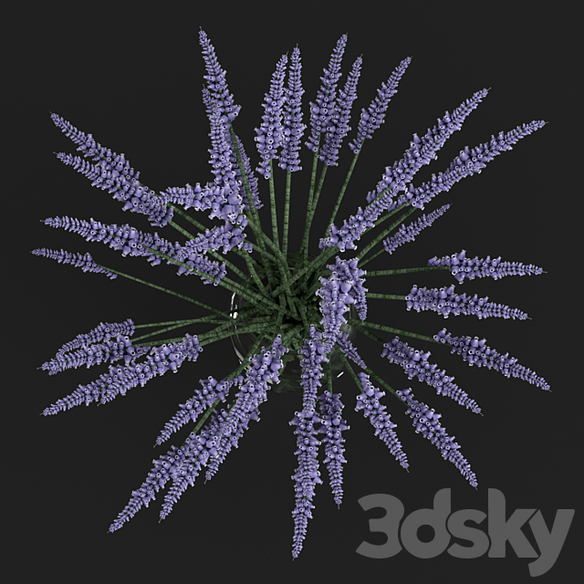 Lavender bouquet 3DS Max Model - thumbnail 3