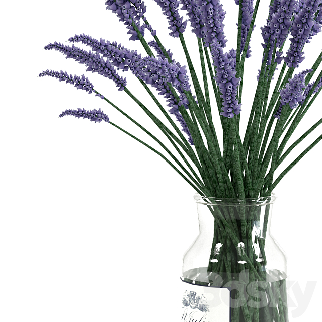 Lavender bouquet 3DS Max Model - thumbnail 4