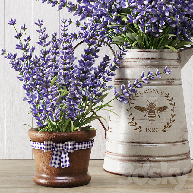 Lavender still life 3DS Max Model - thumbnail 2