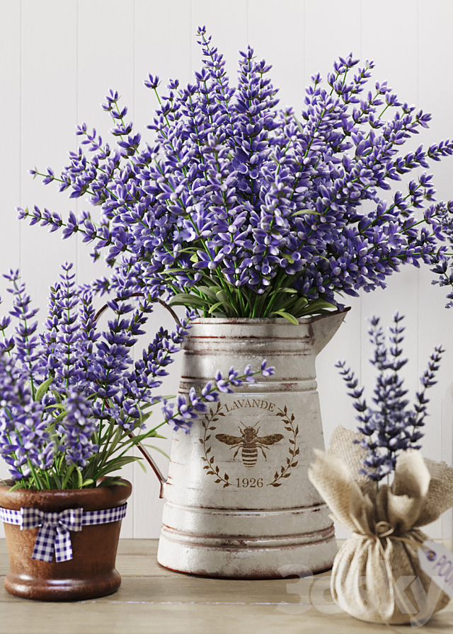 Lavender still life 3DS Max Model - thumbnail 4