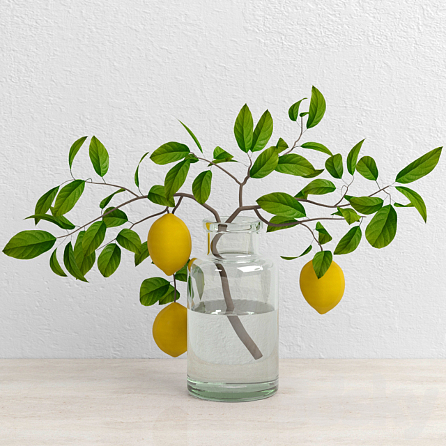 Lemons on branch 3DSMax File - thumbnail 1