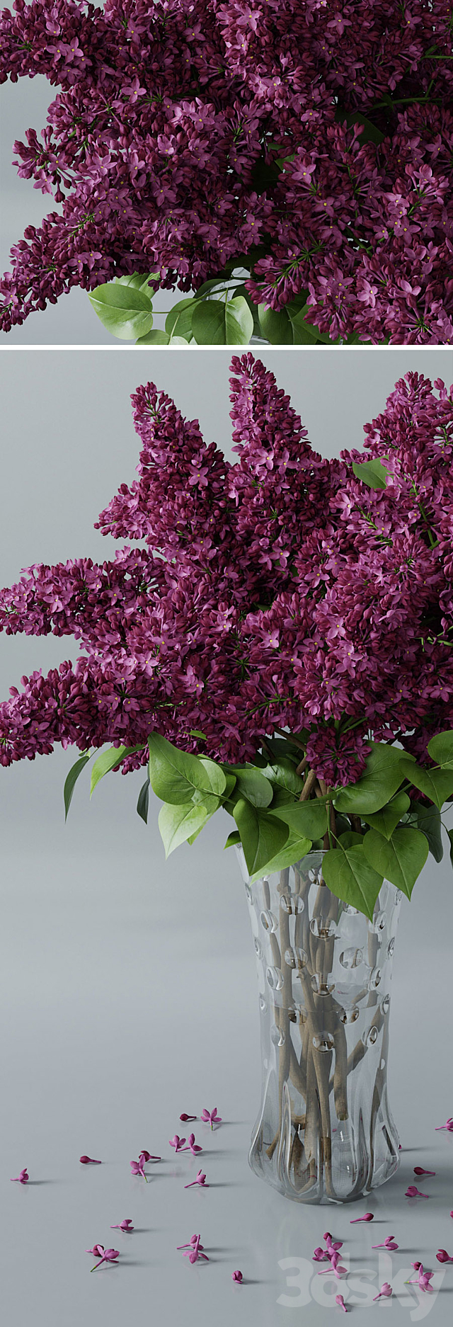 lilac 3 3DSMax File - thumbnail 2