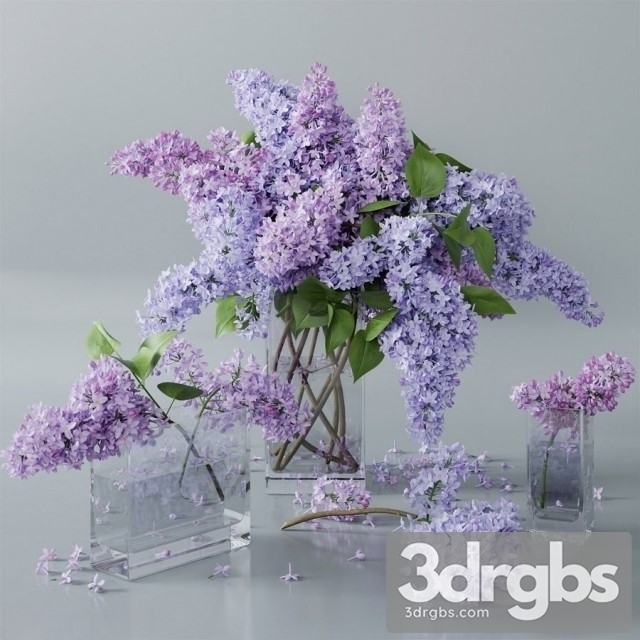 lilac 4 3dsmax Download - thumbnail 1