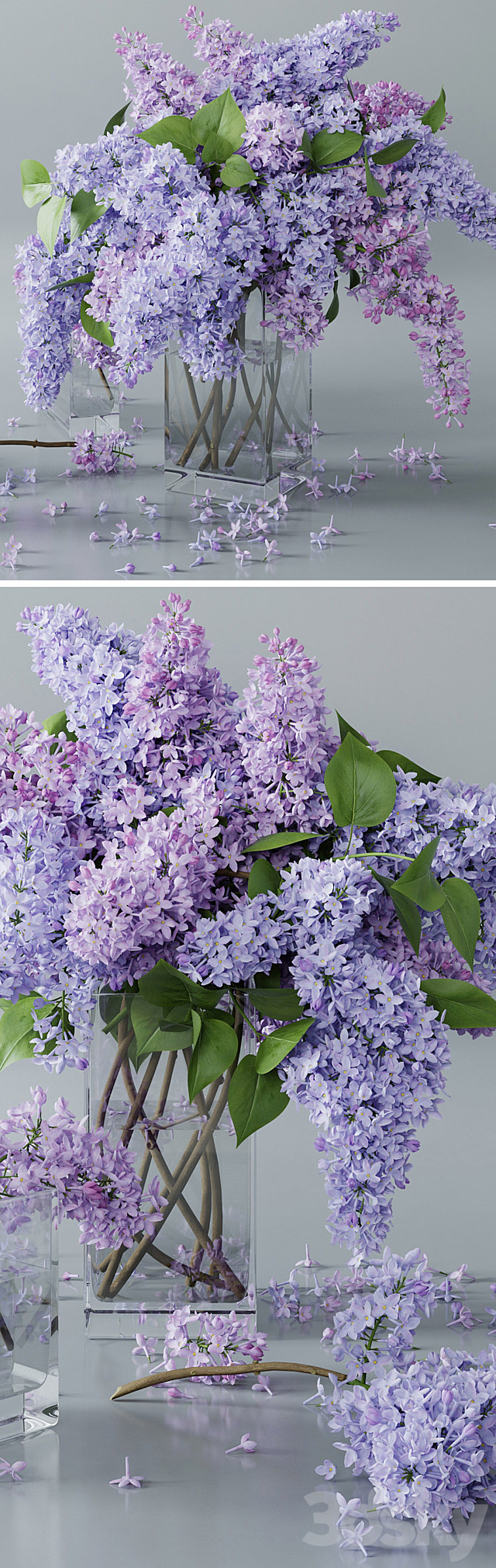 lilac 4 3DSMax File - thumbnail 2