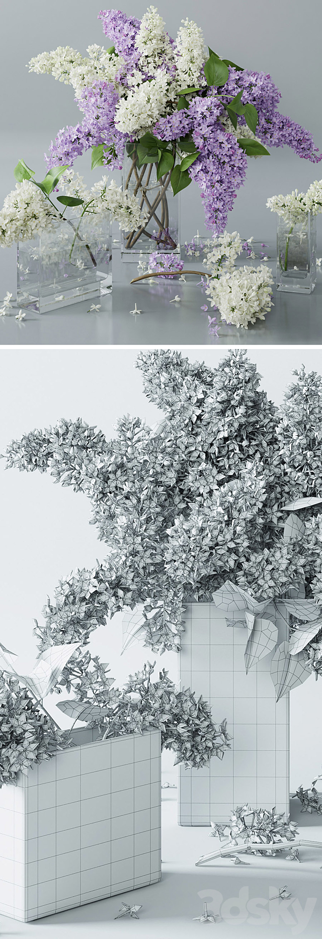 lilac 4 3DSMax File - thumbnail 3