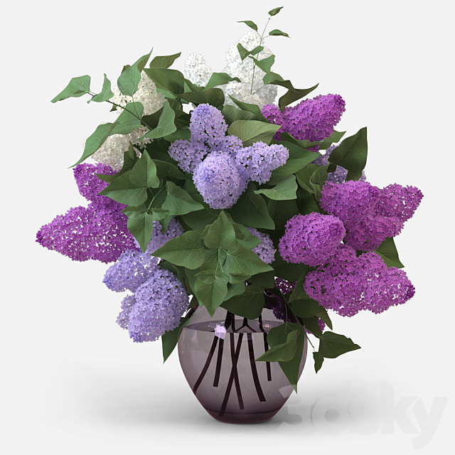Lilac Bouquet 3DSMax File - thumbnail 1