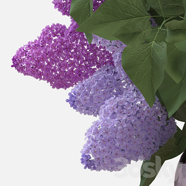 Lilac Bouquet 3DSMax File - thumbnail 2