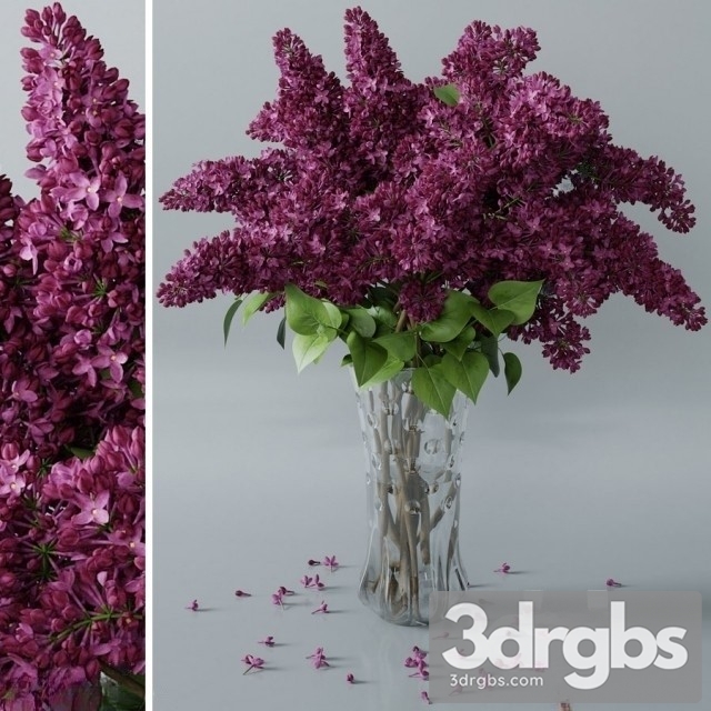 Lilac Purble Vaset Bouquet 1 3dsmax Download - thumbnail 1