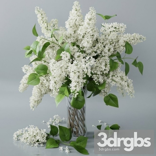 Lilac Vaset Bouquet 1 3dsmax Download - thumbnail 1