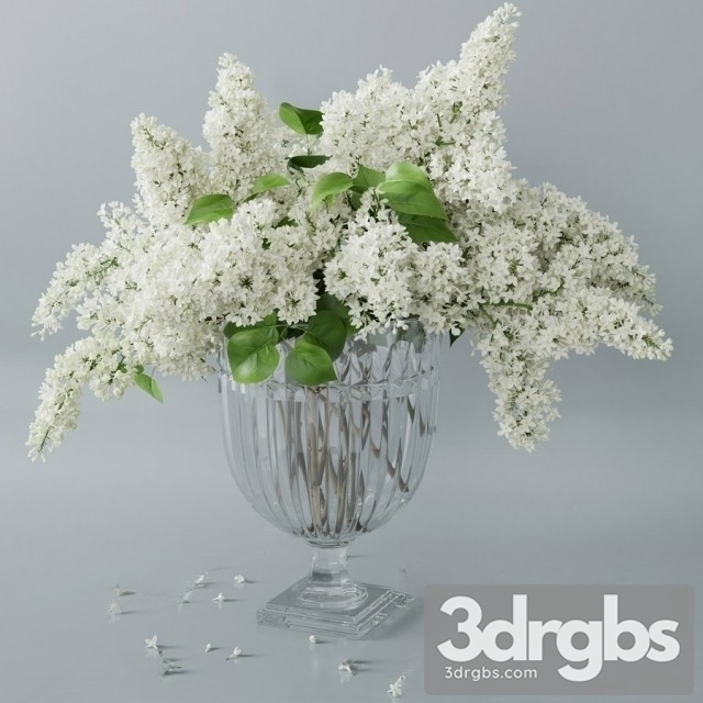 Lilac Vaset Bouquet 2 3dsmax Download - thumbnail 1