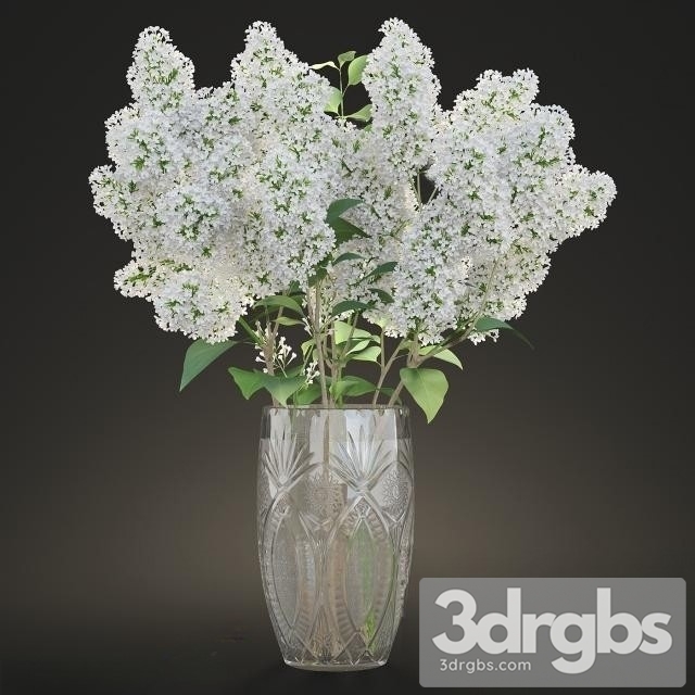 Lilac White Bouquet 3dsmax Download - thumbnail 1