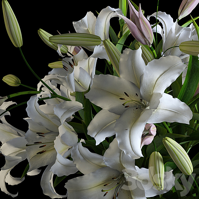 Lilies in a Vase 3DS Max Model - thumbnail 3