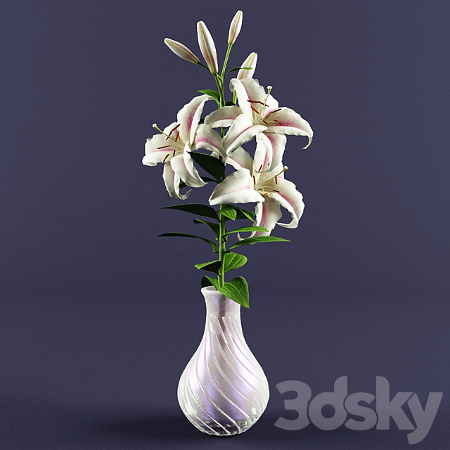 Lily 3ds Max - thumbnail 1