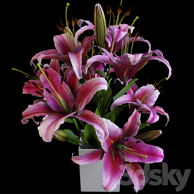 Lily bouquet 3ds Max - thumbnail 1