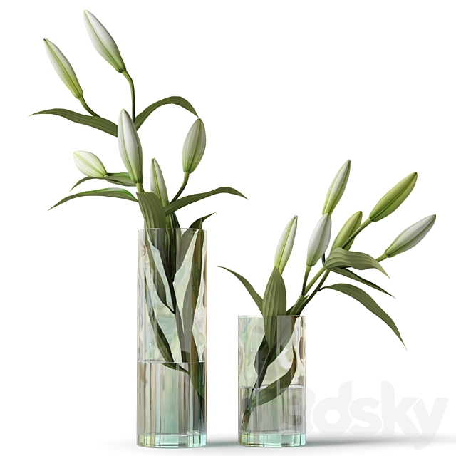 Lily in a glass vase 3ds Max - thumbnail 1