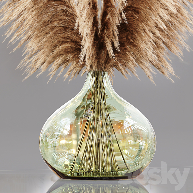 Luxury pampas grass 3ds Max - thumbnail 2