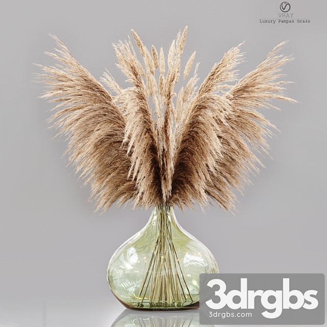 Luxury pampas grass - thumbnail 1