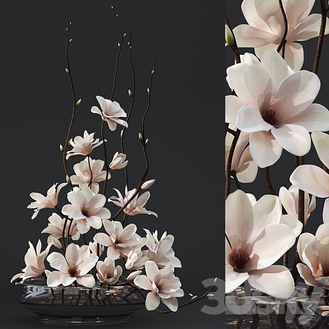 Magnolia 3 3DSMax File - thumbnail 1