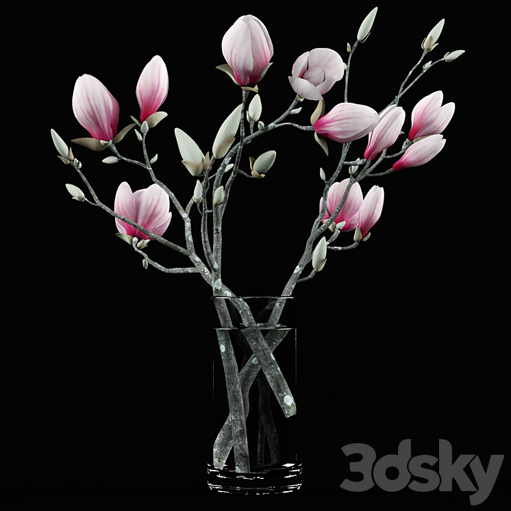 Magnolia Bouquet 3DS Max - thumbnail 1