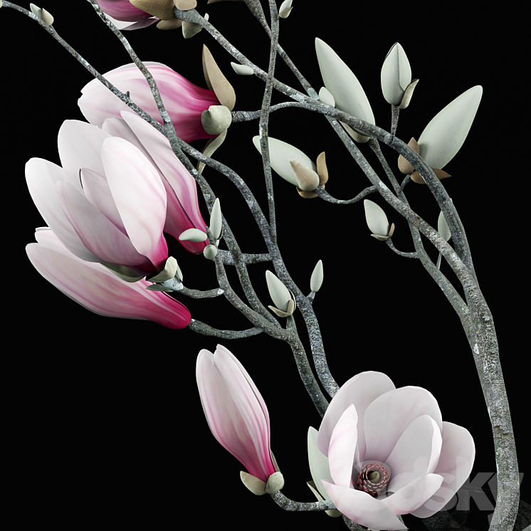 Magnolia Bouquet 3DS Max - thumbnail 2