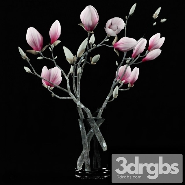 Magnolia Bouquet 3dsmax Download - thumbnail 1