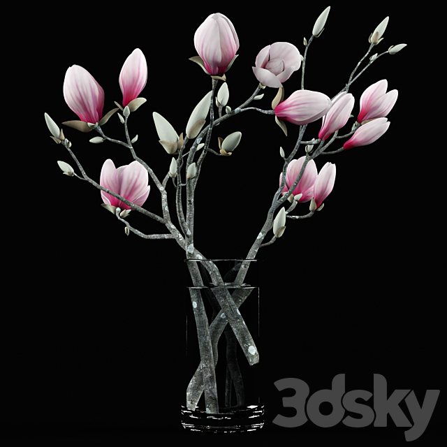 Magnolia Bouquet 3DSMax File - thumbnail 1