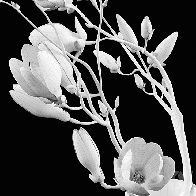 Magnolia Bouquet 3DSMax File - thumbnail 3