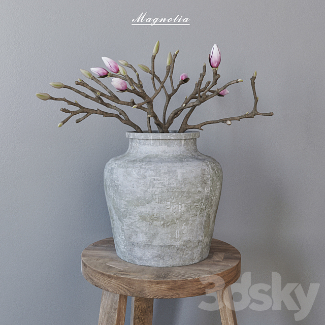 Magnolia in concrete vase 3ds Max - thumbnail 1