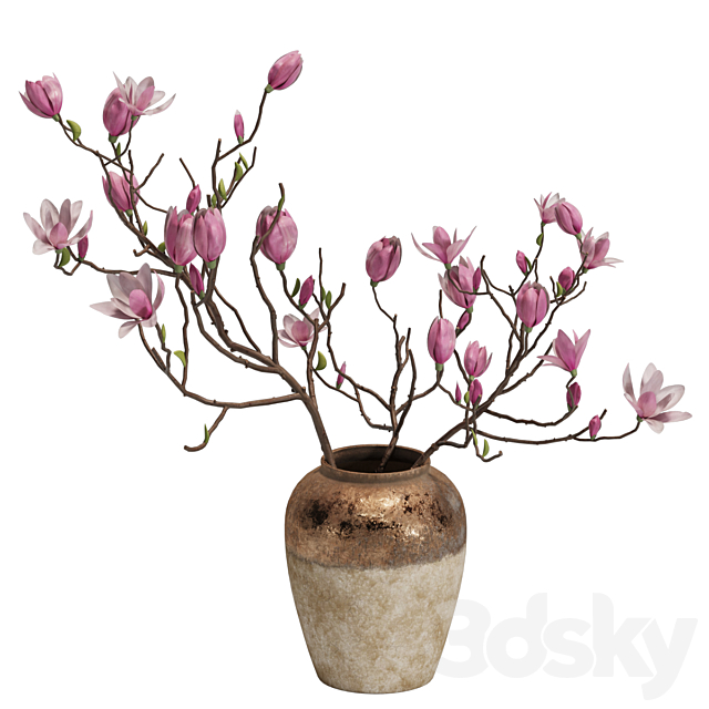 Magnolia Shrubs In Clay Vase 04 3ds Max - thumbnail 1