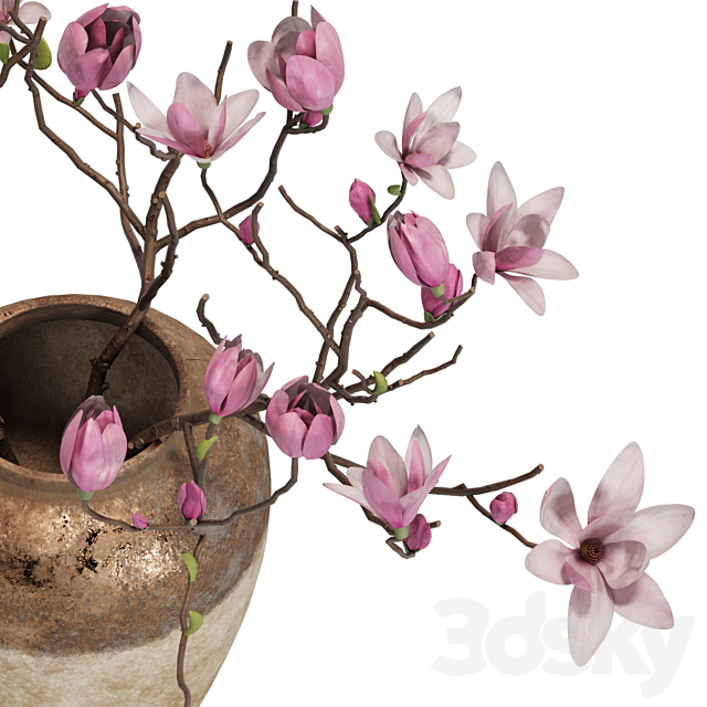 Magnolia Shrubs In Clay Vase 04 3ds Max - thumbnail 2