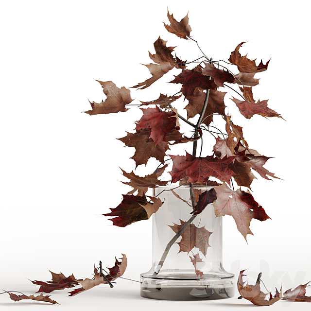 Maple branches in a glass vase 3ds Max - thumbnail 2