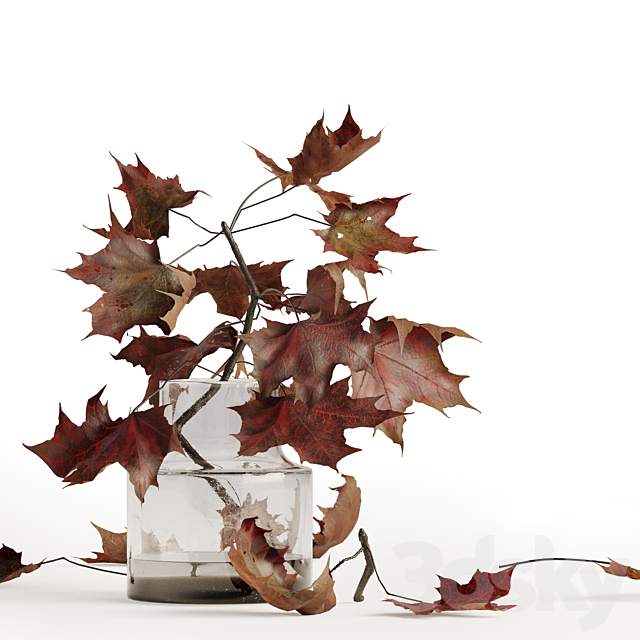 Maple branches in a glass vase 3ds Max - thumbnail 3