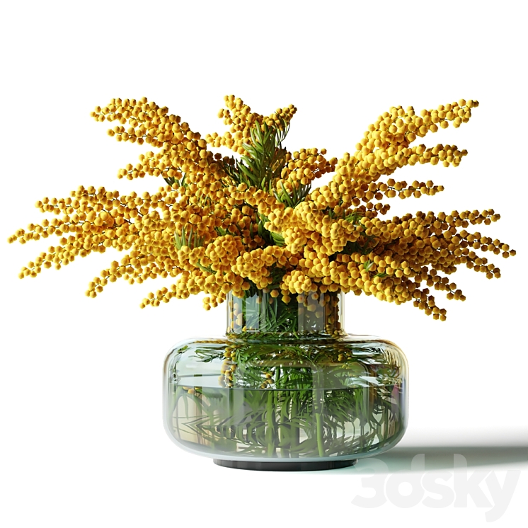 Mimosa in a low glass vase 3DS Max Model - thumbnail 1