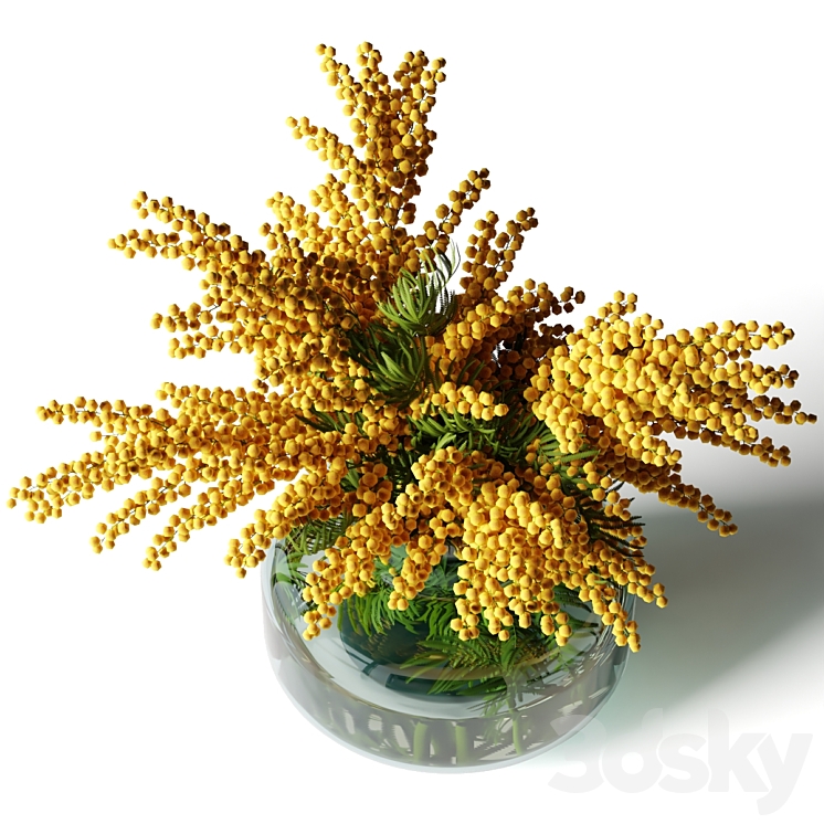 Mimosa in a low glass vase 3DS Max Model - thumbnail 2