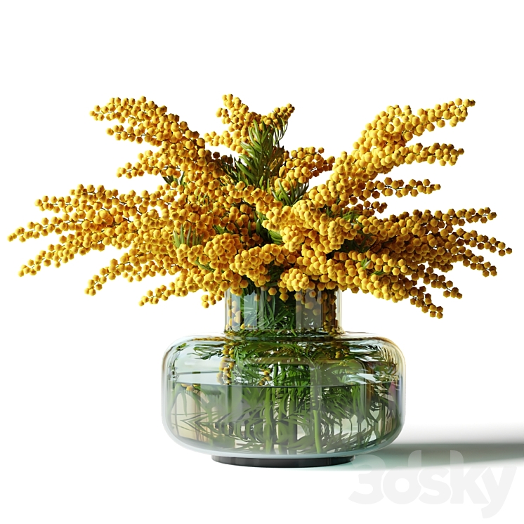 Mimosa in a low glass vase 3DS Max - thumbnail 1