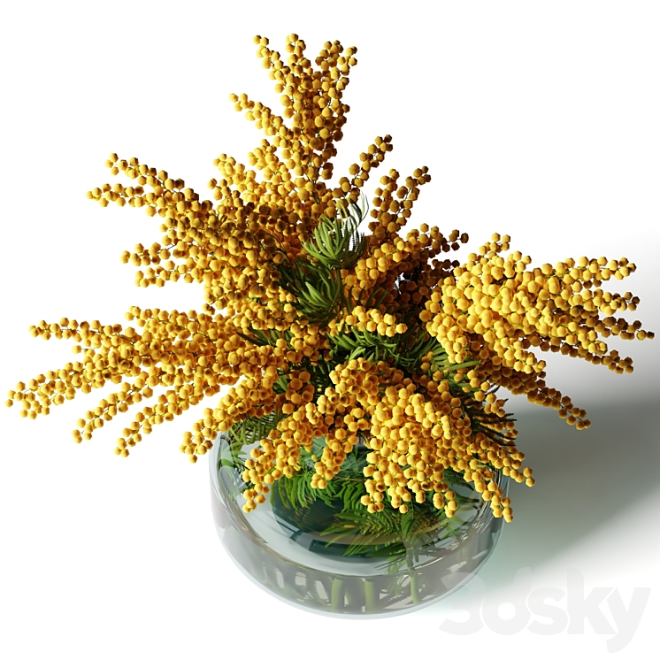 Mimosa in a low glass vase 3DS Max - thumbnail 2