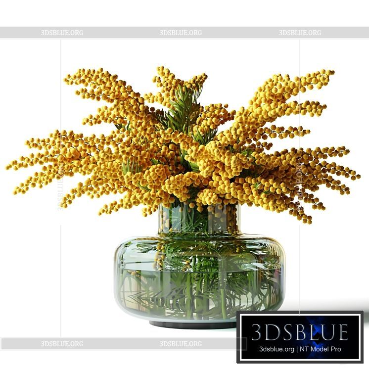 Mimosa in a low glass vase 3DS Max - thumbnail 3